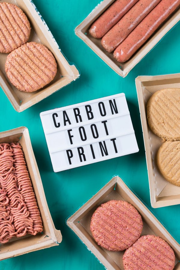 Simulateur d'empreinte carbone : recommandations pour une meilleure utilisation